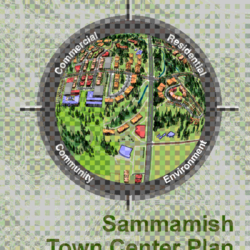 Sammamish Town Center Plan Audit thumbnail icon